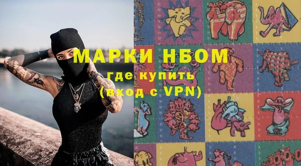 шишки Белоозёрский